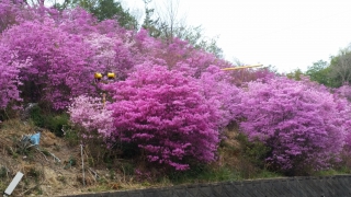 20180404_151622.jpg