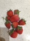 BB06EB7B-2A82-48BE-AA37-9F78E3DB1373.jpeg
